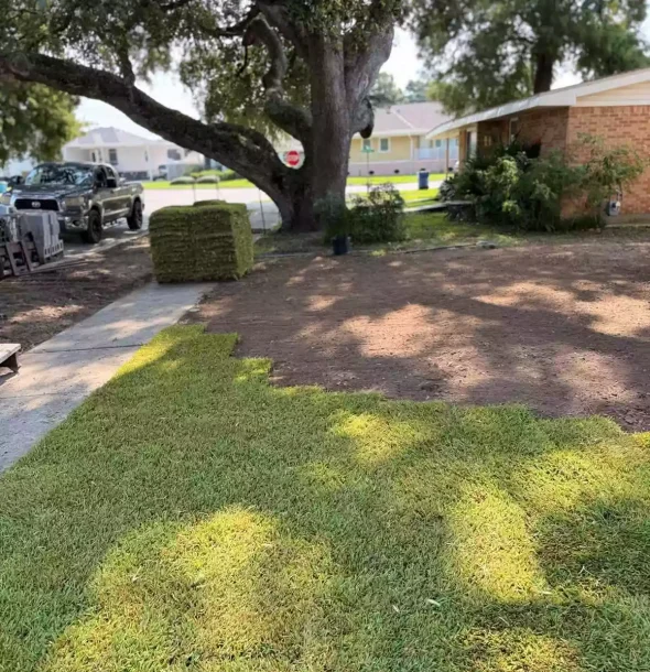 landscaping-services-kenner-la (16)